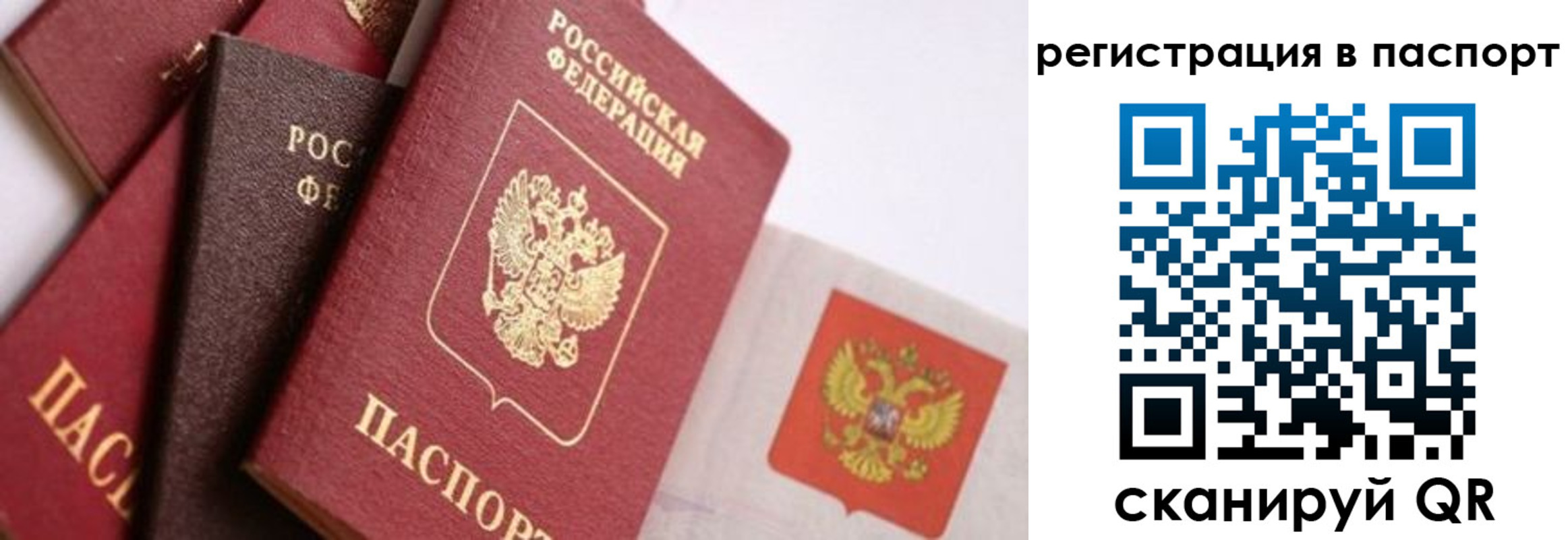 прописка в квартире в Юрьевце